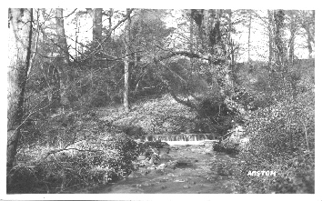 [Anston Brook]